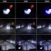 xenon117.jpg